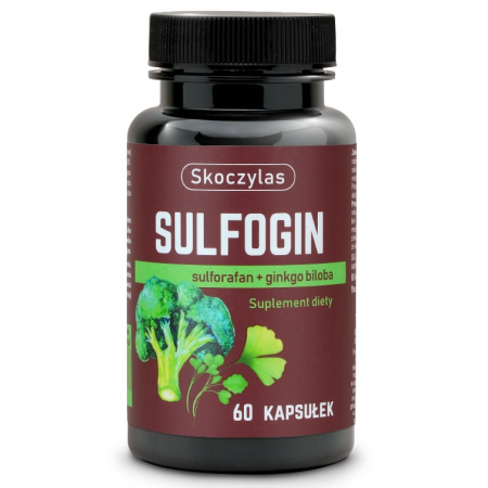 Skoczylas SULFOGIN sulforan, ginko biloba
